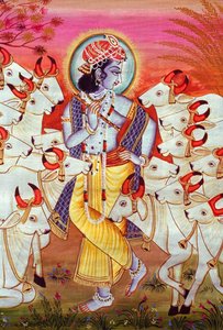 Lord Krishna og køer - miniaturemaleri af School Indian