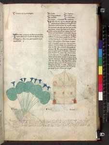 Egerton 747 Tractatus de herbis (urte) c.1280-1310 (blæk & farve på vellum) af School Italian