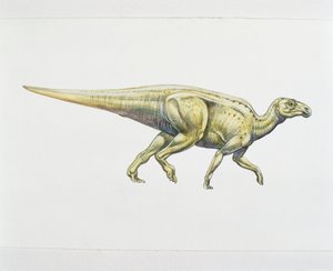 Hadrosaurid eller andnæbbet dinosaur (farve litho) af School Italian