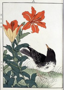 Solsort og liljeblomster - japansk print af Japanese School