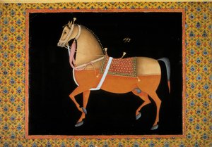 Moghol kunst: repræsentation af en hingst. 1700-tals gouache. Paris, B.N.