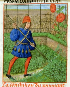 Harl 4425 f.184v Elskeren opnår rosen, fra 
