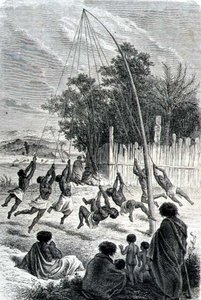 Maori-krigere spiller på en gynge, illustration fra 