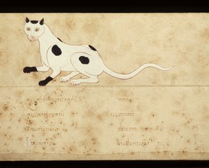 Blad fra et manuskript om siamesiske katte, begyndelsen af det 20. århundrede (akvarel på papir) af School Thai