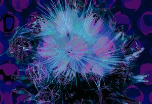 Artiskok (digital) af Scott J. Davis