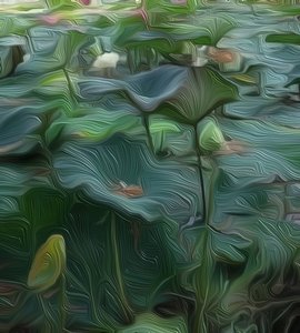Lily Pond1 af Scott J. Davis