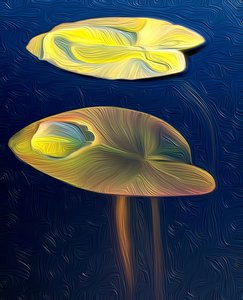 T_Lily af Scott J. Davis
