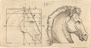 To Hestehoveder af Sebald Beham