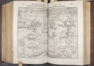 Cosmographia, Fol 852-853, 1544 af Sebastian Munster