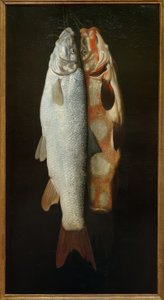 Fisk stilleben af Sebastian Stosskopf