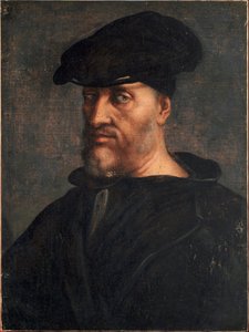 Portræt af Andrea Doria (maleri