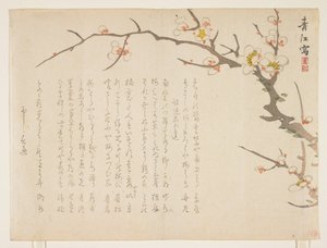 Blomstrende blomme, januar 1837 (træbloktryk i farver) af Seik Hashimoto