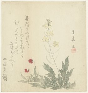 Blomstrende Planter af Seiseikyo Ryûshi