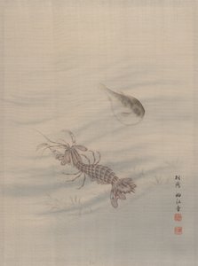 Bunden af havet viser Cray Fish, ca. 1890-92.