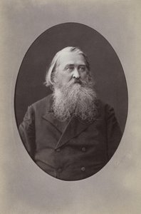 Portræt af digteren Alexei Nikolaevich Pleshcheev 1825-1893, 1870
