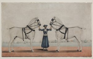 A Syce (Groom) Holding Two Carriage Horses, ca. 1845 (ugennemsigtig akvarel på papir) af Shaik Muhammad Amir of Karraya (attr. to)
