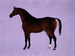 Oppidan, ca. 1840 (akvarel på papir)