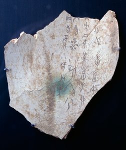 Piktogram på en okse scapula med et ritual for at afværge fare (knogle)