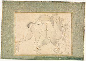 Kamel og Brudgom, Enkeltsideillustration, ca. 1545-1576. af Shaykh Muhammad