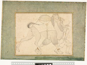 Kamel og Brudgom, ca. 1545-76 af Shaykh Muhammad