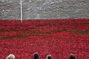 Blood Swept Lands and Seas of Red, Tower of London, 2014. af Sheldon Marshall