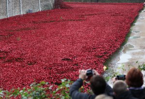 Blood Swept Lands and Seas of Red, Tower of London, 2014. af Sheldon Marshall