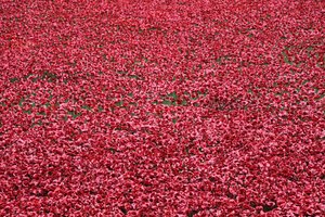 Blood Swept Lands and Seas of Red, Tower of London, 2014. af Sheldon Marshall