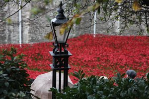 Blood Swept Lands and Seas of Red, Tower of London, 2014. af Sheldon Marshall