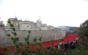 Blood Swept Lands and Seas of Red, Tower of London, 2014. af Sheldon Marshall
