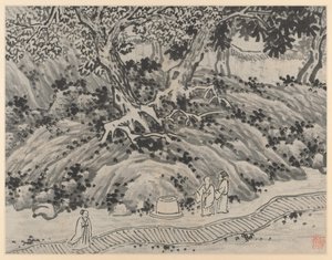 Tolv udsigter over Tiger Hill, Suzhou: Fool