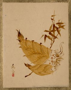  af Shibata Zeshin