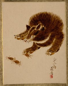  af Shibata Zeshin