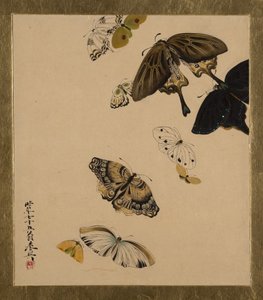 Lakmalerier af forskellige emner: Sommerfugle, dateret 1881. af Shibata Zeshin