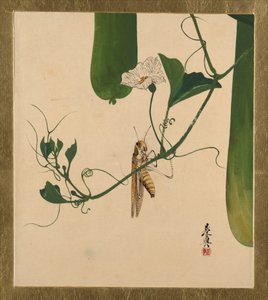  af Shibata Zeshin