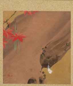 Maple Leaves and Feather fra Album of Paintings af den ærværdige Zeshin af Shibata Zeshin