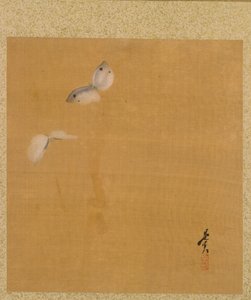 Moths fra Album of Paintings af den ærværdige Zeshin af Shibata Zeshin