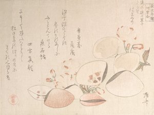 Kirsebærblomster og skaller, 1800-tallet., 1800-tallet. af Shinsai