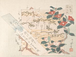 Designs af skrivepapir med blomster, 1800-tallet., 1800-tallet.