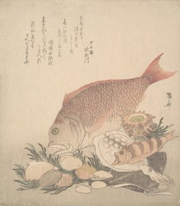 Store og små fisk, der svømmer blandt skaller og mos på bunden af havet, ca. 1830., ca. 1830.