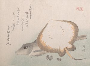 Stingray og Gurnard, sandsynligvis 1815., sandsynligvis 1815. af Shinsai