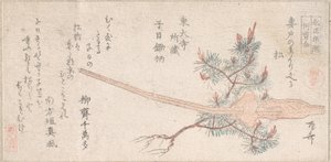 Ungt fyrretræ og håndtag af en plov, 1800-tallet., 1800-tallet. af Shinsai