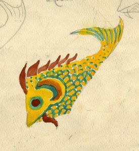 Fiskeillustration, c1950. af Shirley Markham