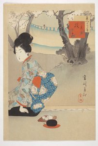 Three Blooming Cherry Trees, fra serien 