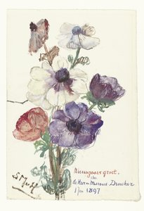 Nytårshilsener med anemoner