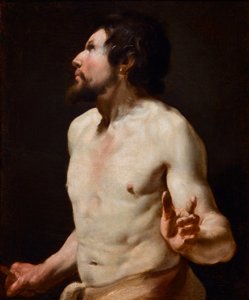 Studie af torso-maleri fra Simon Vouets skole (1590-1649) (maleri) af Simon (circle of) Vouet