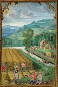 Tilføj 18855 september: høst, pløjning og såning, fra en timebog, ca. 1540