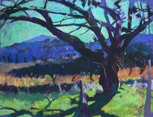 Kirsebærtræets skygge, 2000 (pastel) af Simon Fletcher