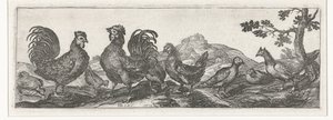 Fjerkræ Fugle og insekter (serietitel) af Simon Frisius