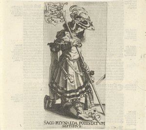 Reinalda-taske af Simon Frisius