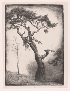 fyrretræ af Simon Moulijn (signed by artist)